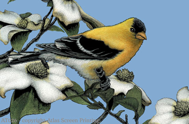 American Gold Finch 2" X 3" Magnet