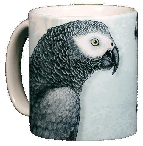 African Grey Ceramic Mug - Front