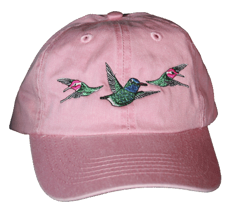 Hummer Fun Youth Embroidered Cap