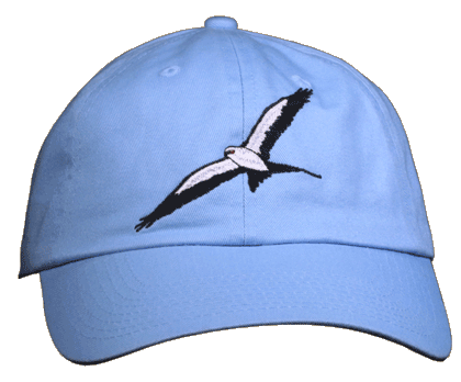 Swallowtail Kite Embroidered Cap