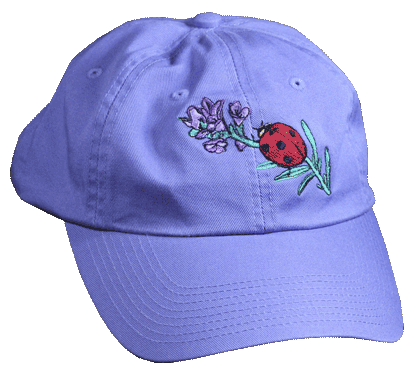 Ladybug Embroidered Cap