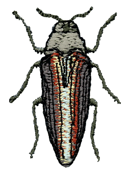 Buprestid Beetle Embroidered Cap