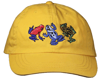 Dart Frog Fun Youth Embroidered Cap - DC
