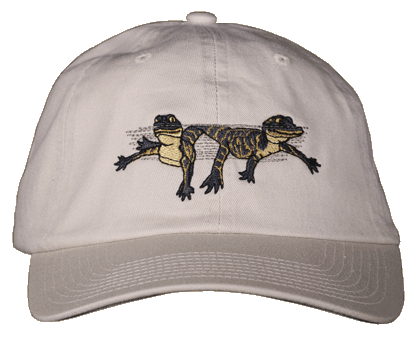 First Year Gators Embroidered Cap