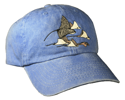 Stingrays Embroidered Cap