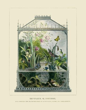 The Vivariam or Insect-Home Reproduction Print