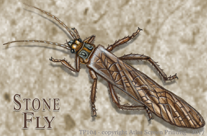 Stone Fly 2" X 3" Magnet