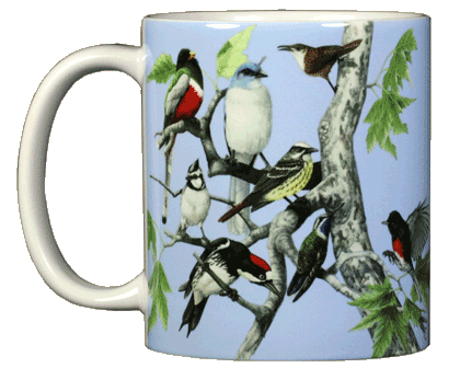 Canyon Birds Ceramic Mug - Front