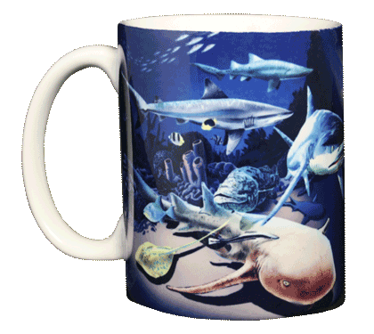 Shark & Ray Wrap Ceramic Mug - Front