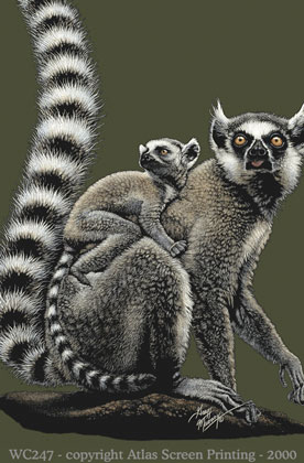 Ring-tailed Lemurs 2" X 3" Magnet