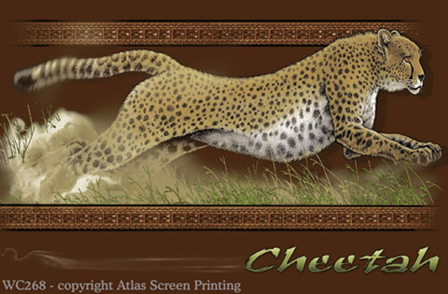 Cheetah 2" X 3" Magnet