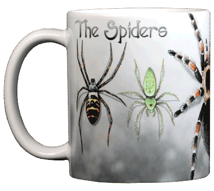 Spiders Ceramic Mug - Front