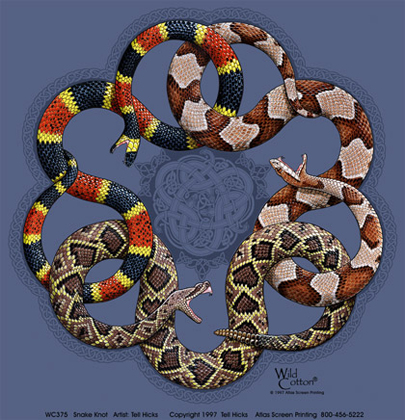Snake Knot Adult T-shirt