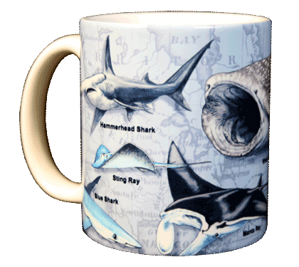 Sharks of the World Ceramic Mug - Front