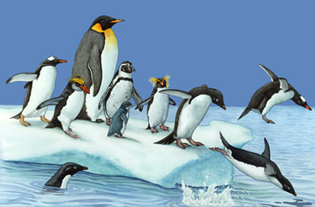 Penguins of the World 2" X 3" Magnet