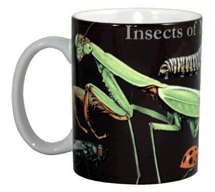 Insects of NA Ceramic Mug