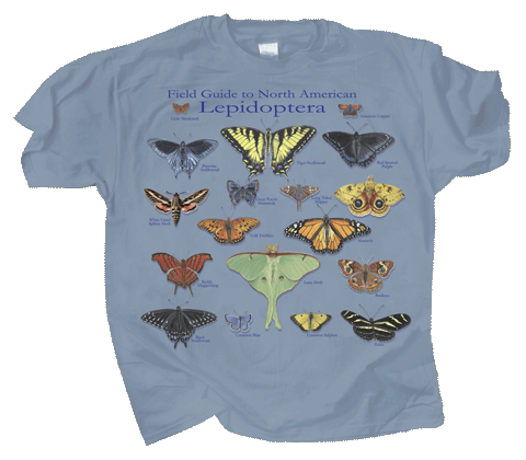 Lepidoptera Adult T-shirt - Front