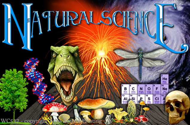 Natural Science 2" X 3" Magnet
