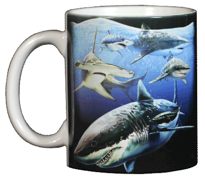 Sharks! Ceramic Mug - Front