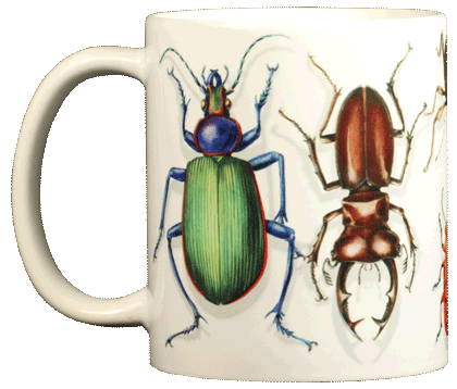 Beetle Circle Ceramic Mug - Front