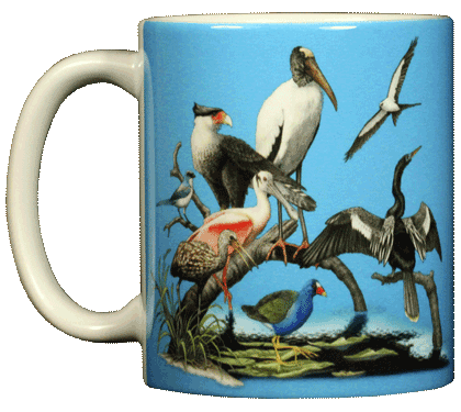 Florida Birds Ceramic Mug - Front