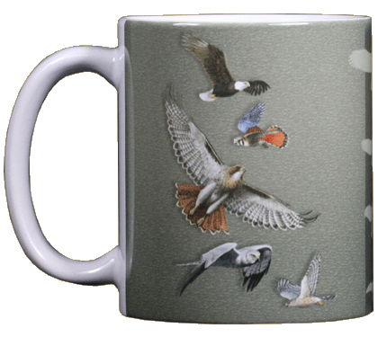 Sky Hunter Ceramic Mug - Front