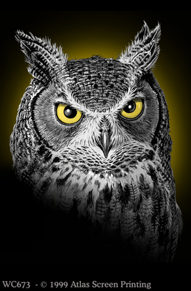Eye of the Owl 2" X 3" Magnet