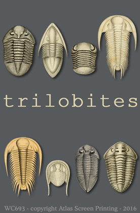 Trilobites 2" X 3" Magnet