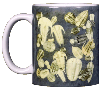 Trilobite Fossils Ceramic Mug - Front