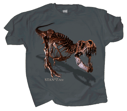 STANÂ® T.rex Youth T-shirt