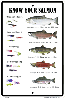 Know Your Salmon Chart