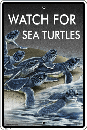 Watch For Sea Turtles Sign - DC