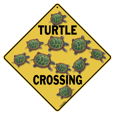 Turtle Crossing
