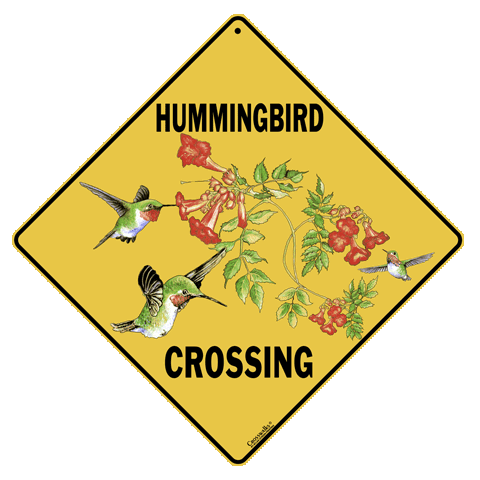Hummingbird Crossing