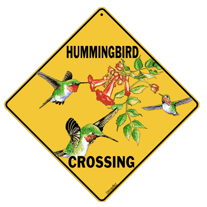 Hummingbird Crossing