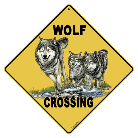 Wolf Crossing