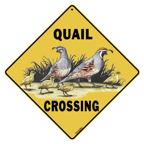 Quail Crossing 