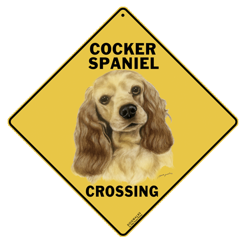 Cocker Spaniel Crossing - DC