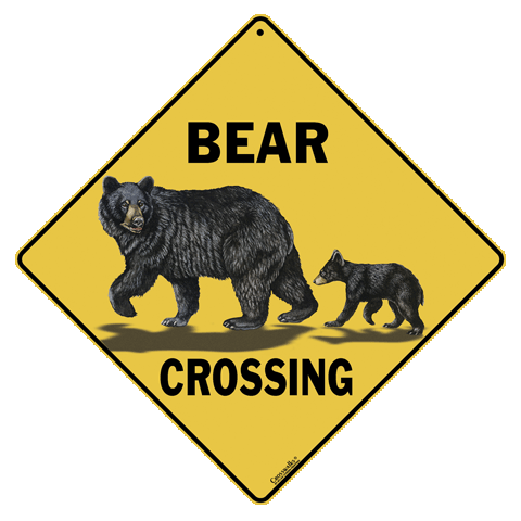 Bear Family Crossing