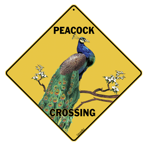 Peacock Crossing