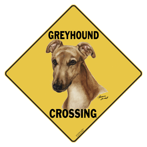 Greyhound Crossing - DC