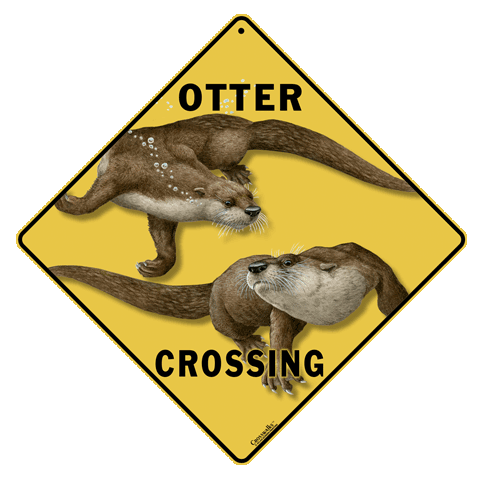 Otter Crossing 