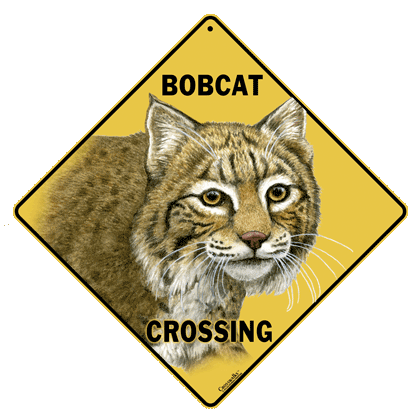 Bobcat Crossing