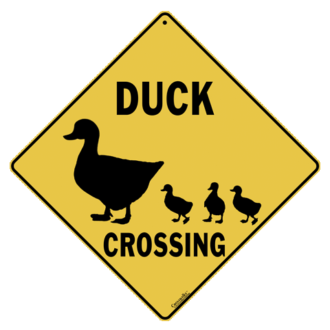 Duck Silhouette Crossing