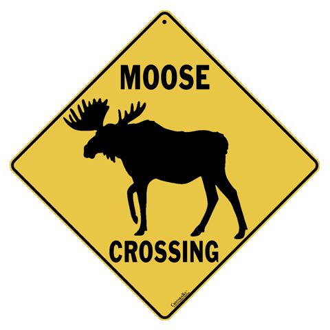 Moose Silhouette Crossing