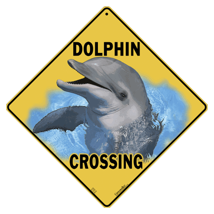 Dolphin Crossing - DC
