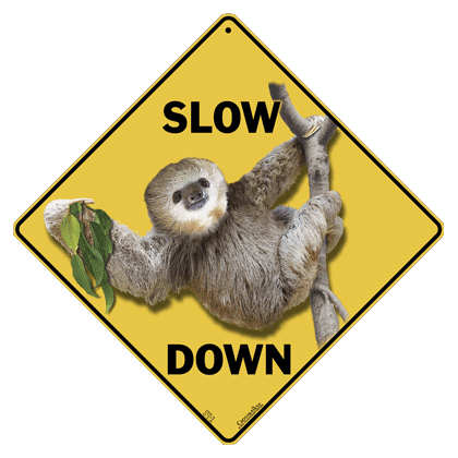 Slow Down Sloth Crossing 