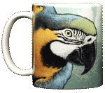 Blue & Gold Macaw Ceramic Mug