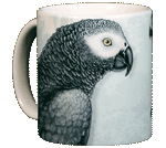 African Grey Ceramic Mug
