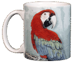 Green Wing Macaw Ceramic Mug - Front